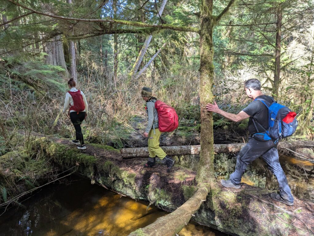 MST10 Hikers 1