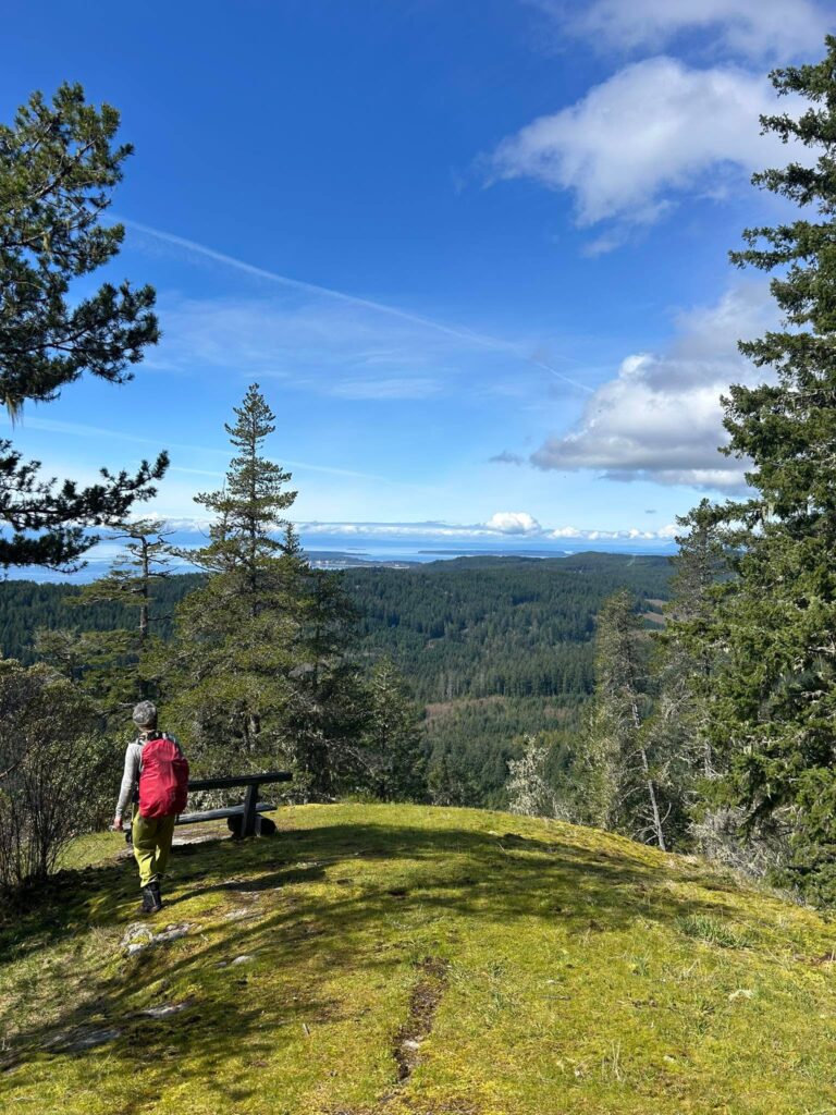 MST10 Hikers 2